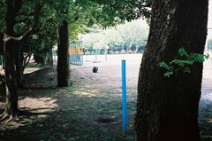 大牟田市立中友小学校の校庭（母校）