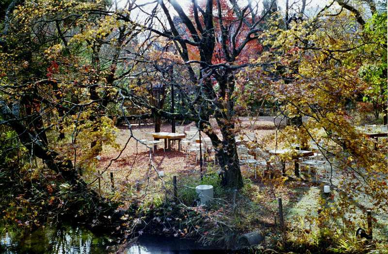 金鱗湖近くの公園