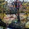 金鱗湖近くの公園