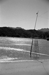 熊本県上天草市姫戸町小島公園の海水浴場にて・その壱