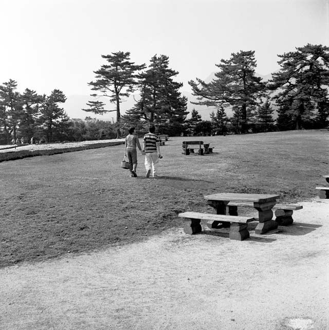 くじゅう花公園のアベック