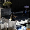 怪しい撮影会・吉井にて・瓶のある風景