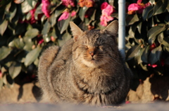 おねむ