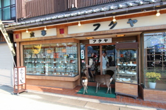 鹿のお客様