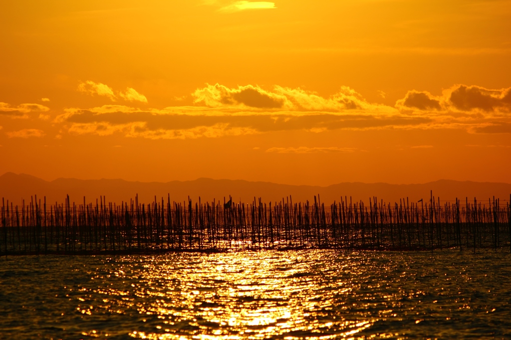 海苔