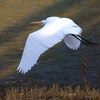 春陽を浴びて