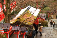 雪の残る参道