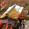 雪の残る参道