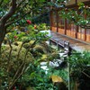 冬の庭園２