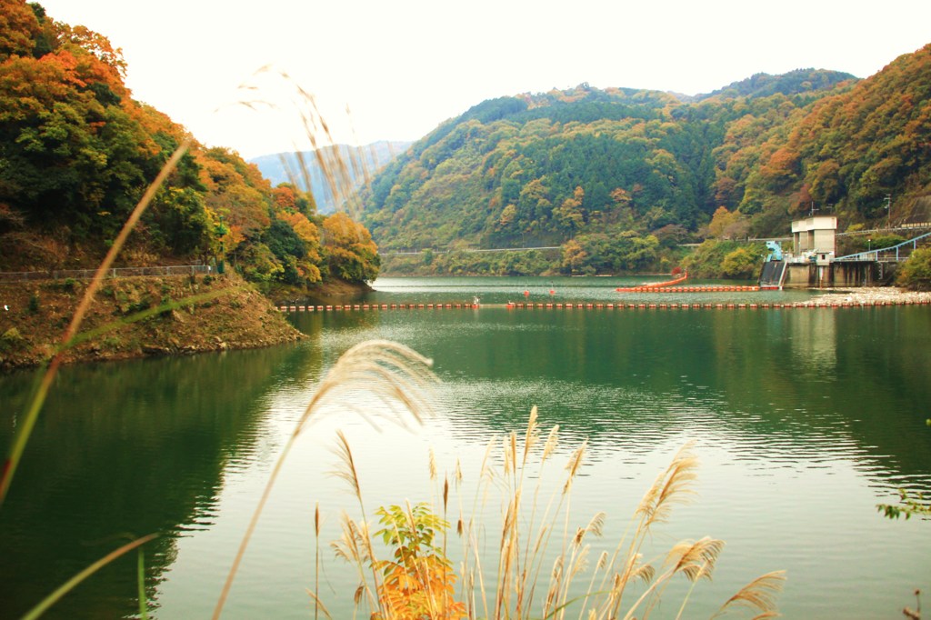 錦秋の鳳凰湖