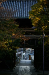 夕暮れ