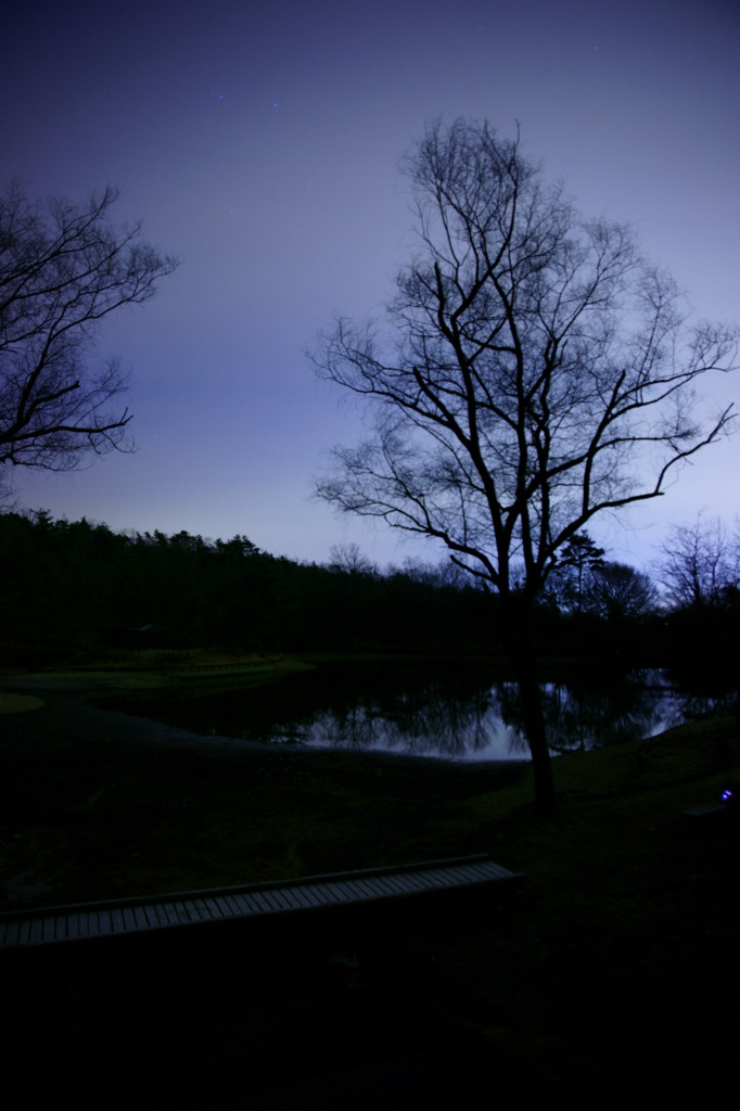 深夜の公園