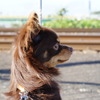 まなざし