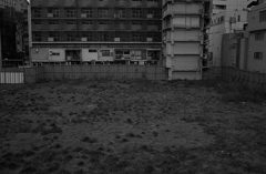 空き地