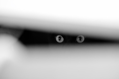 Eyes