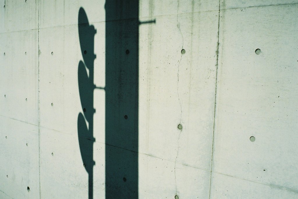 Wall &