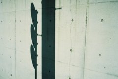 Wall &
