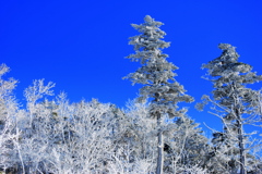 樹氷と青空①