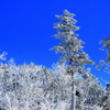 樹氷と青空①