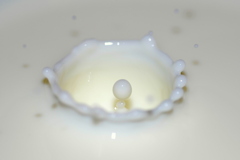 ミルククラウン
