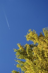 飛行機雲と秋の空