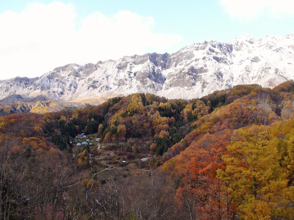 去る秋、来る冬