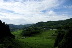 田舎の風景