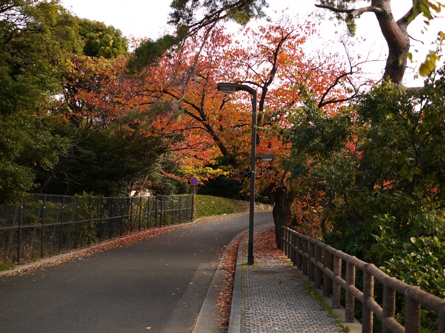 曲がり道