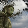 大仏の横顔