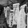 鶴岡八幡宮