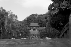鶴岡八幡宮 (2)