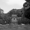 鶴岡八幡宮 (2)