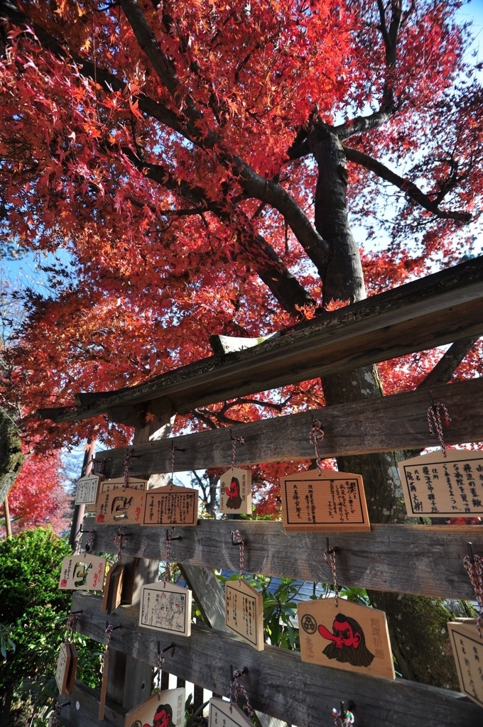 高尾山の紅葉３