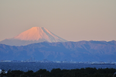 空気が澄んだ朝は１