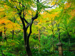 秋、鎌倉、松岡山東慶寺