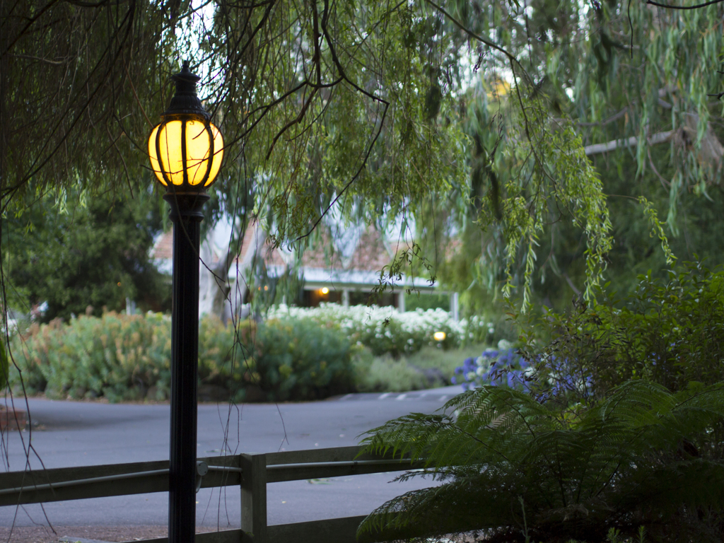 Twilight in Summer of Australia