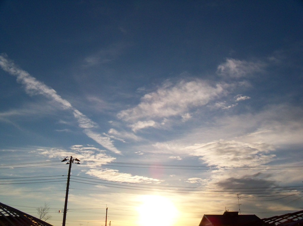 空を見てたのは・・・