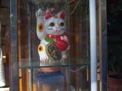 達磨を抱えた招き猫