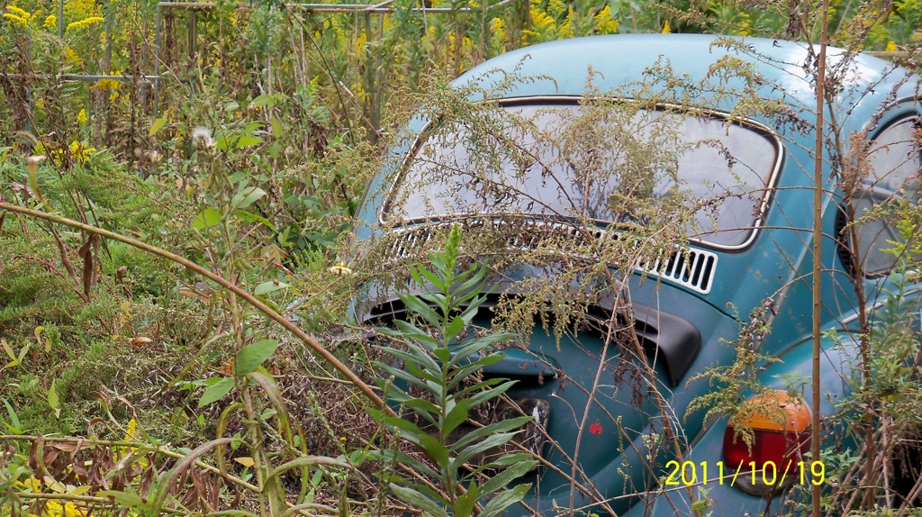 ｖｗ　