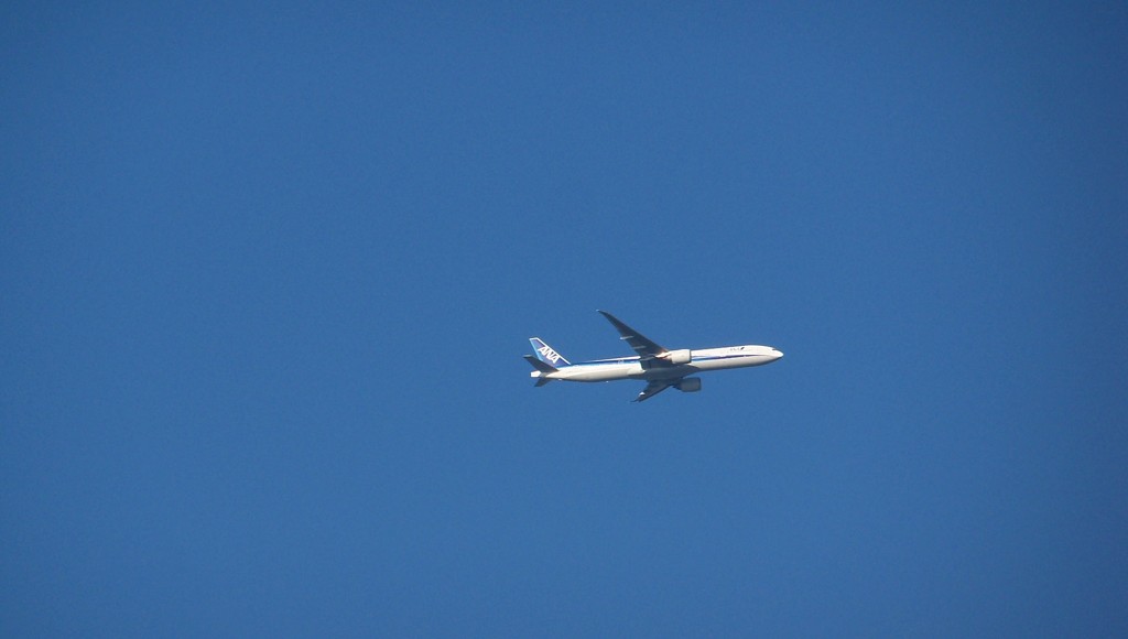 飛行機