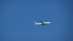 飛行機