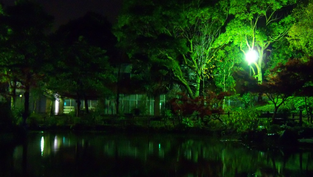夜の公園
