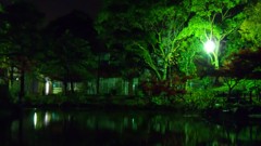 夜の公園