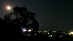 夜に・・・