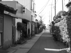 路地