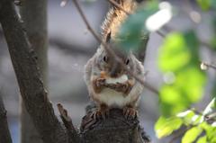 もぐもぐ