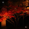 紅い夜