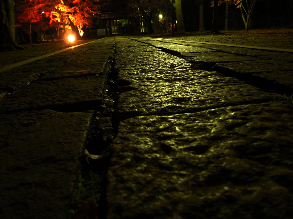 月夜に照らされて