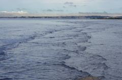 IMGP0582