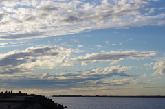 IMGP0607